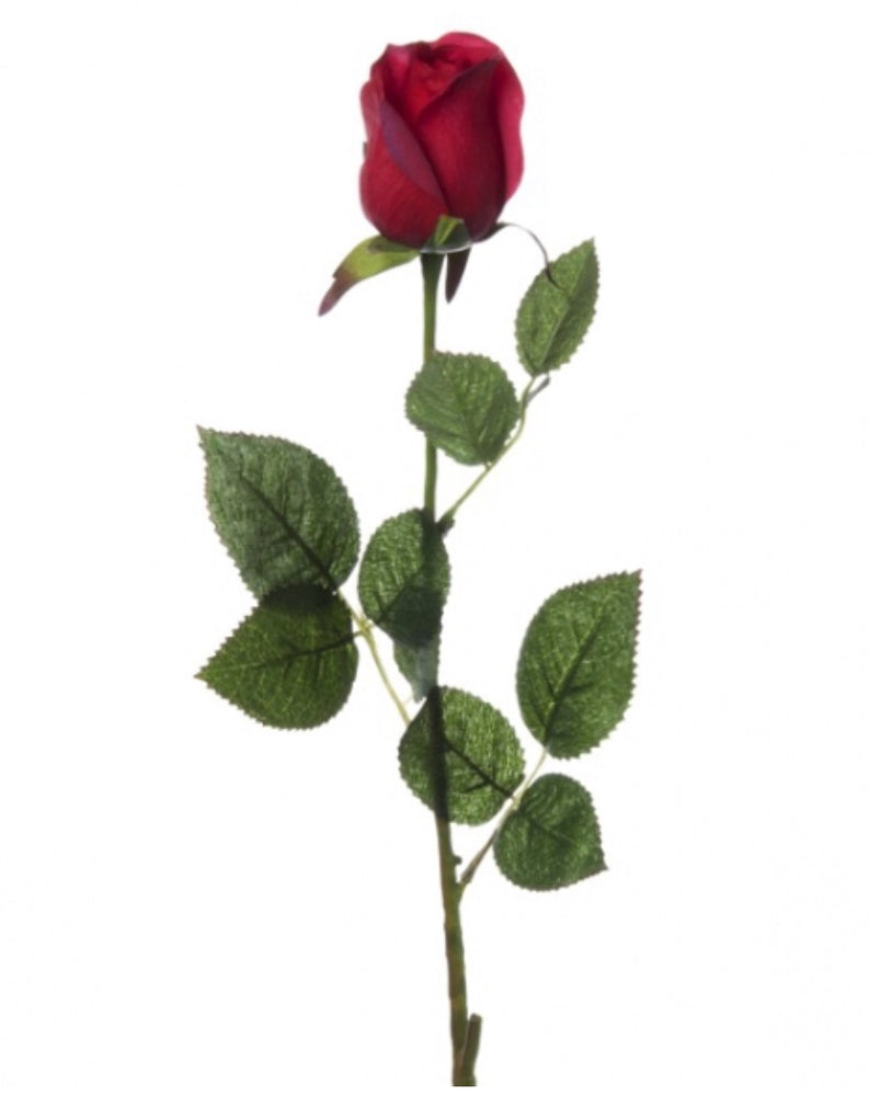 Siena Red Rose (73cmH)